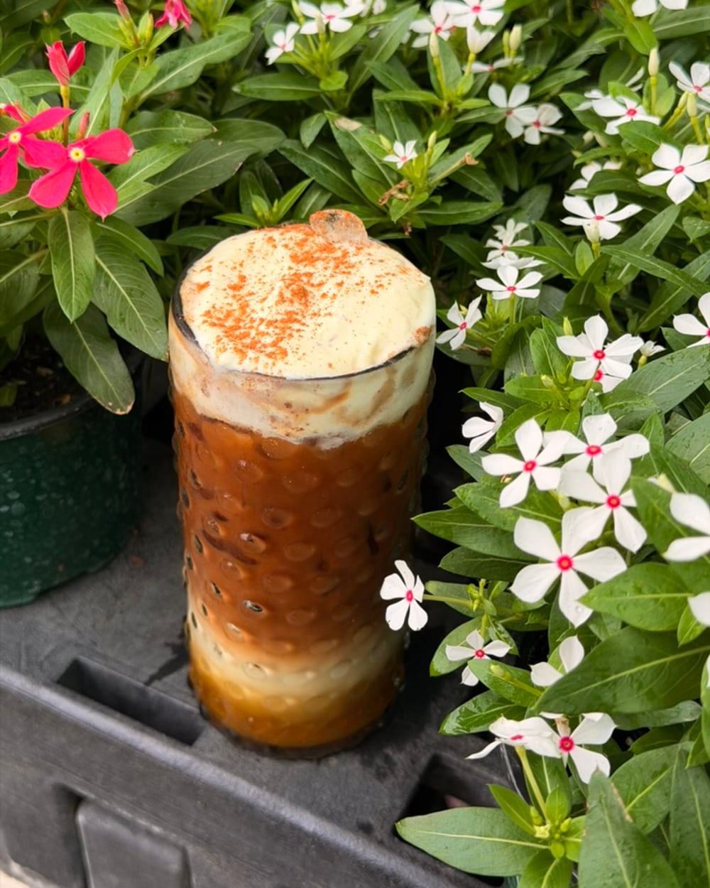 Maple Pumpkin Latte frío con cold foam y canela, entre flores del jardín