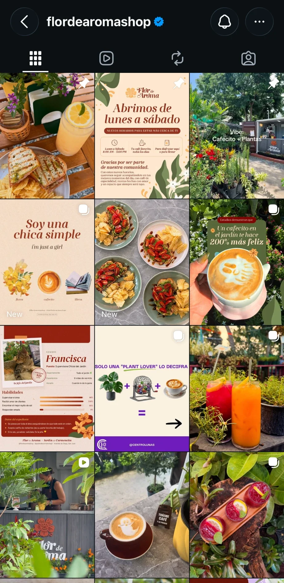 Perfil de Instagram de @flordearomashop con fotos de bebidas, tostadas y el jardín